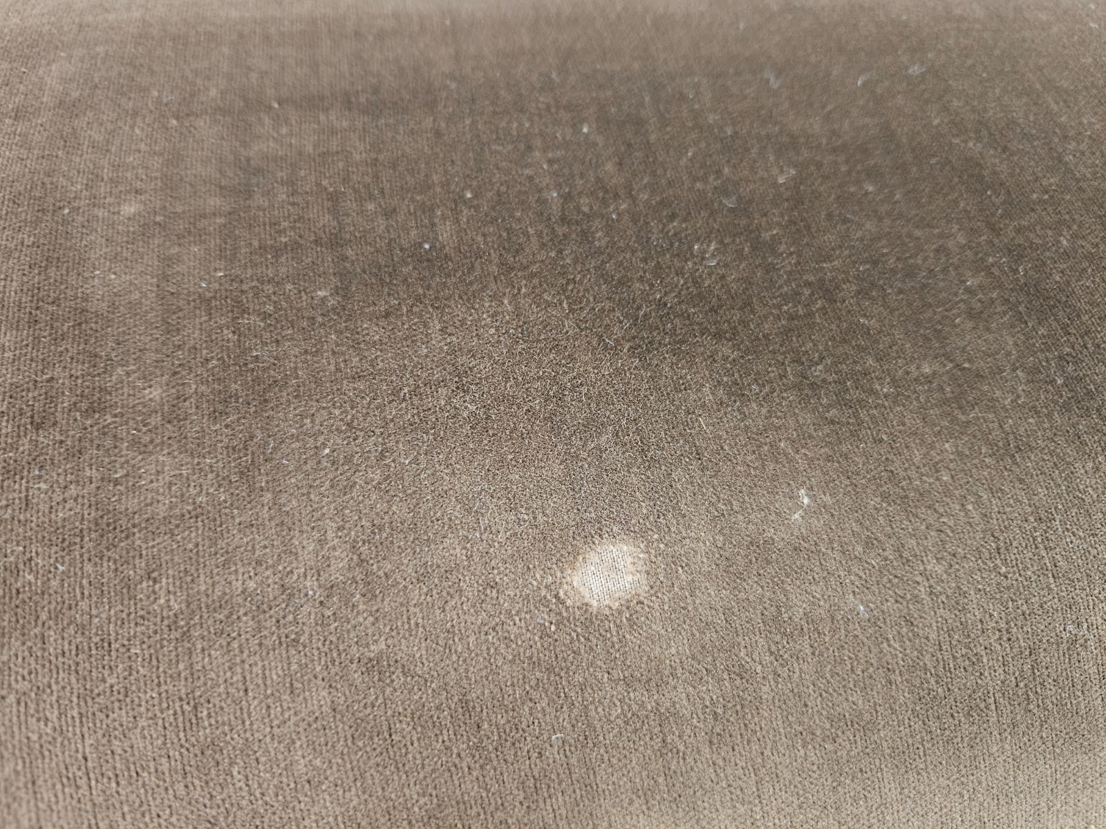 Divano-Tecno-D120-di-Valeria-Borsani-e-Alfredo-Bonetti-Divano-anni-60-Design-407281167506-9